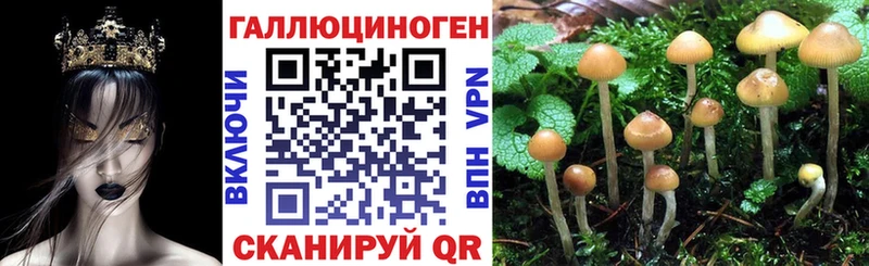 Псилоцибиновые грибы мухоморы  Горячий Ключ 